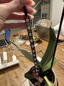 Connect the Components