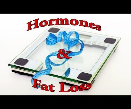 Healthy Hormones for Fat Loss