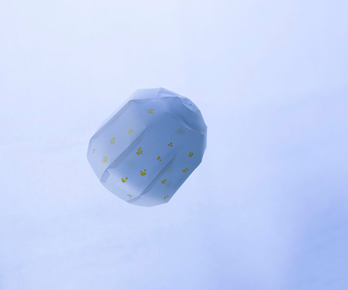 Paper Craft Tutorial for Velella Larva