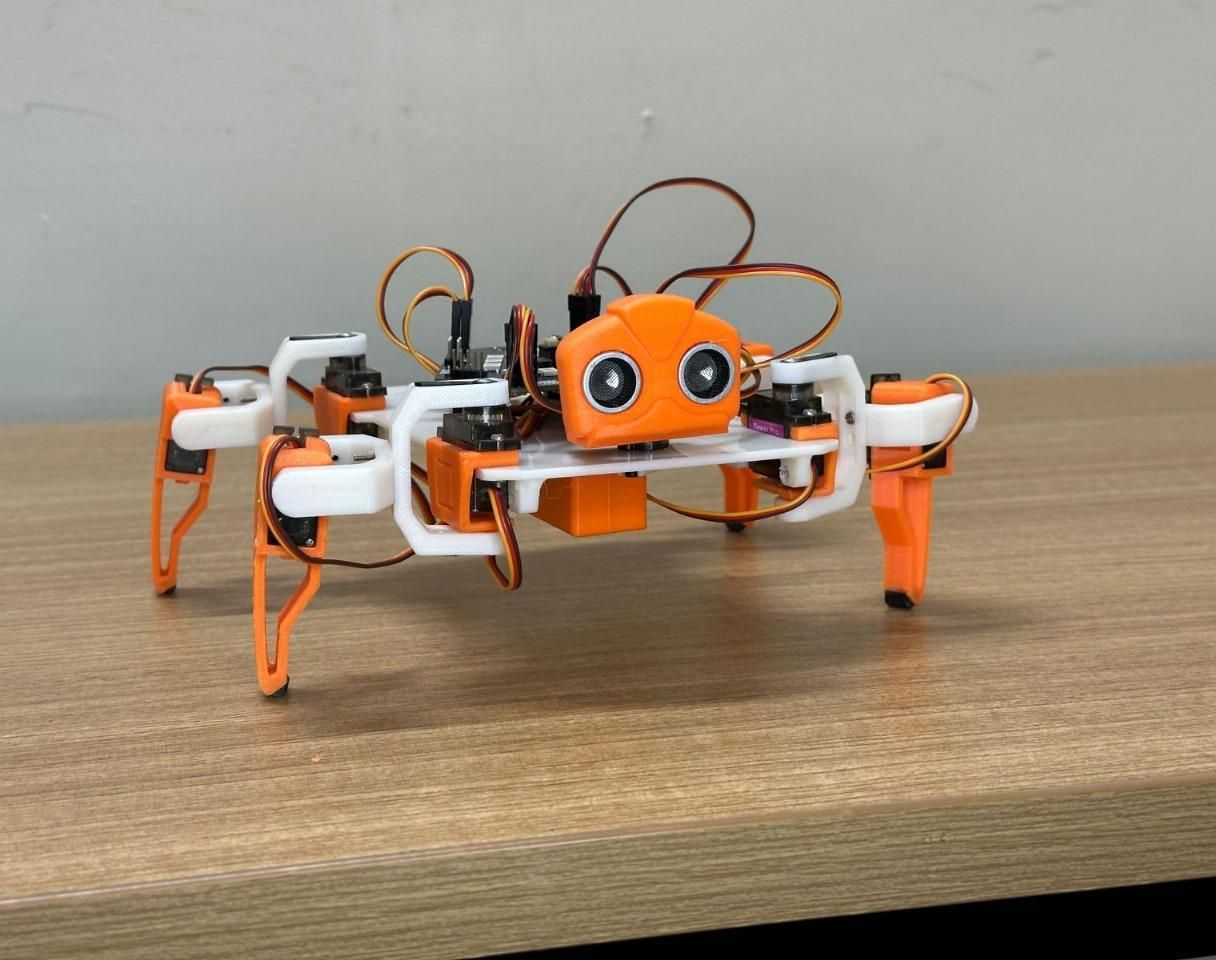 DIY Robotic Spider