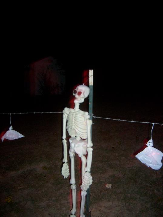 A Corpse Blucky (blow Molded Skeleton)