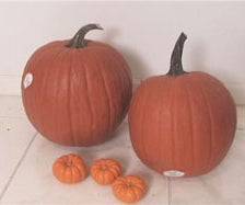 Best Pumpkin Design Ever!