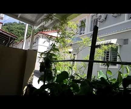 Zero Cost Watering System