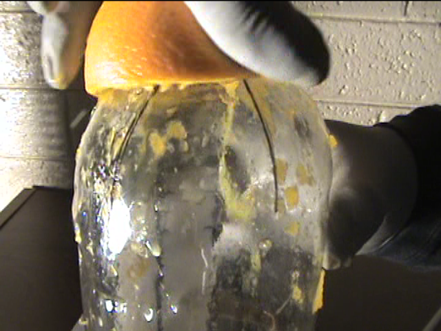 Make a Juicer Out of a Plastic Bottle!!!!