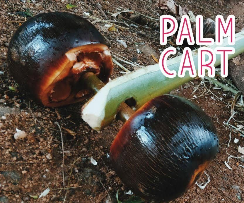 Palm Cart Using Palm Fruit