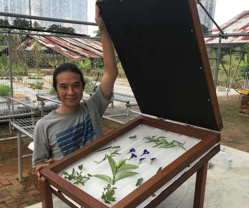 Radiant Heat Solar Dehydrator