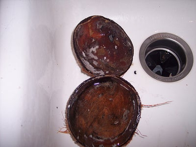 Cleaning the Coconut