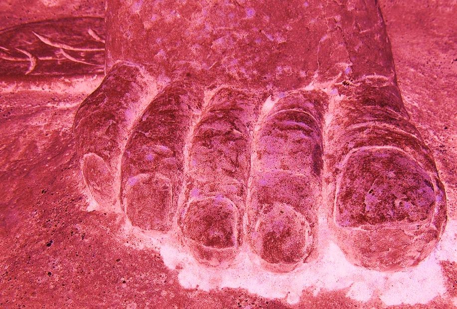 Easy Cure for Smelly Feet