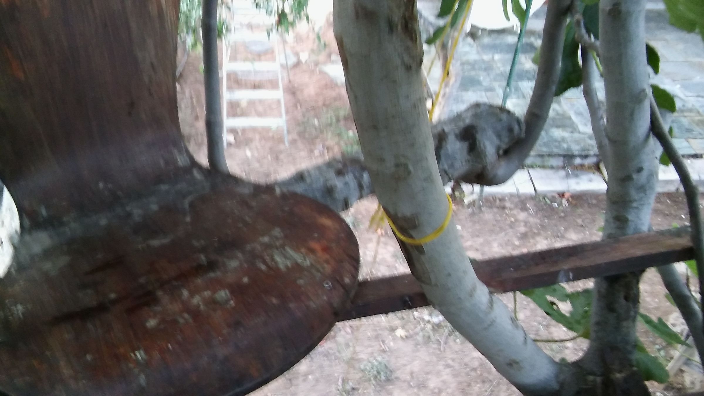 Treehouse Elevator 3 Steps (with Pictures) Instructables