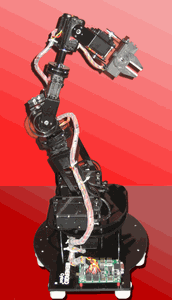 Build a Robot Walker