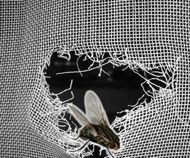 REPLACE a WINDOW SCREEN