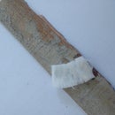 Reinforced Elfy Glue