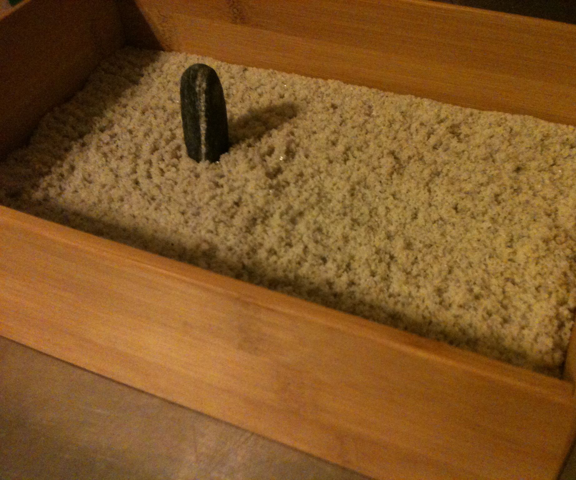 Mini Zen Garden