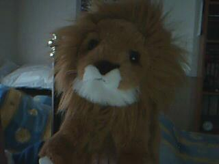 This Is Knex47s Lion