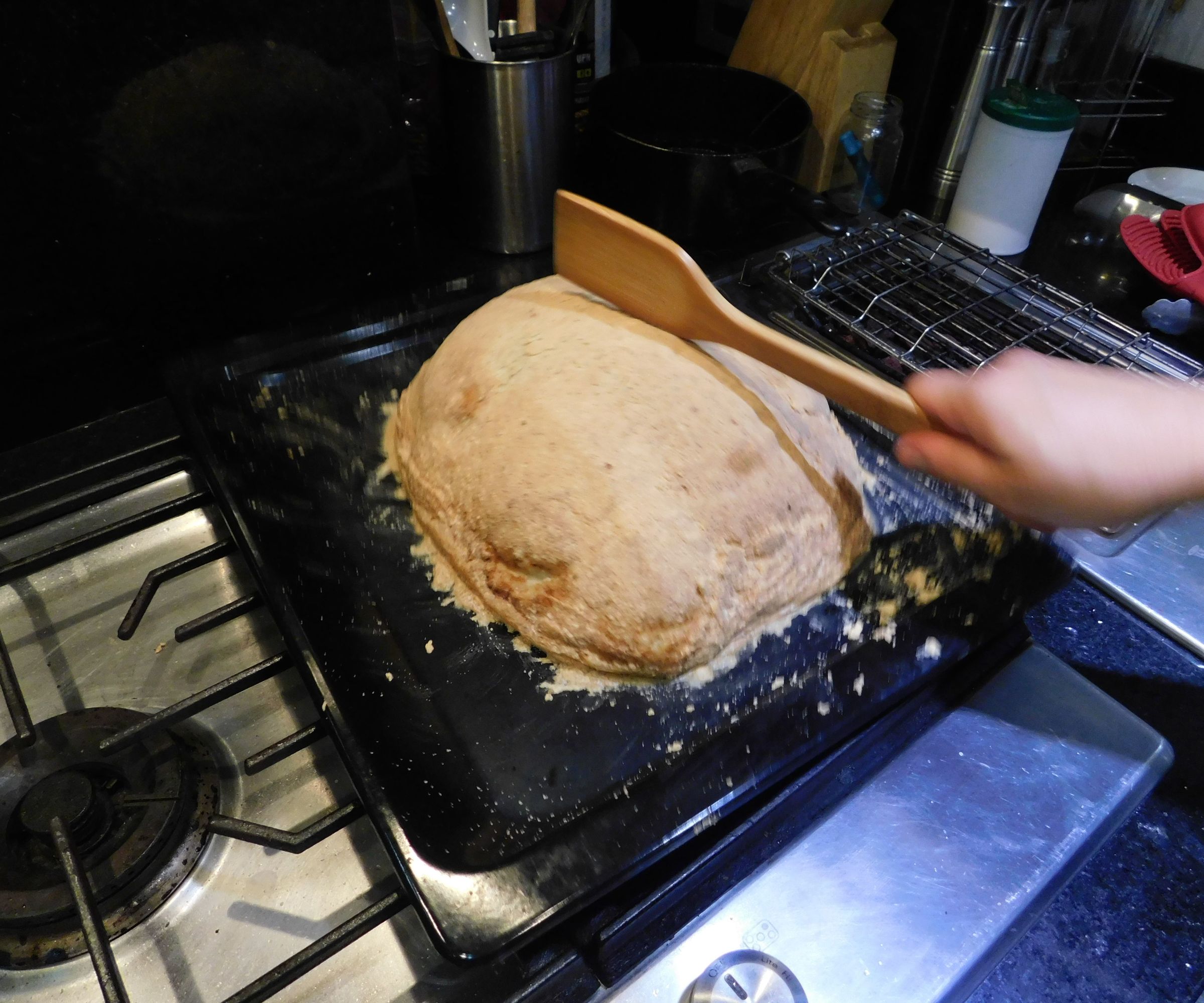 Salt Crusted Meat