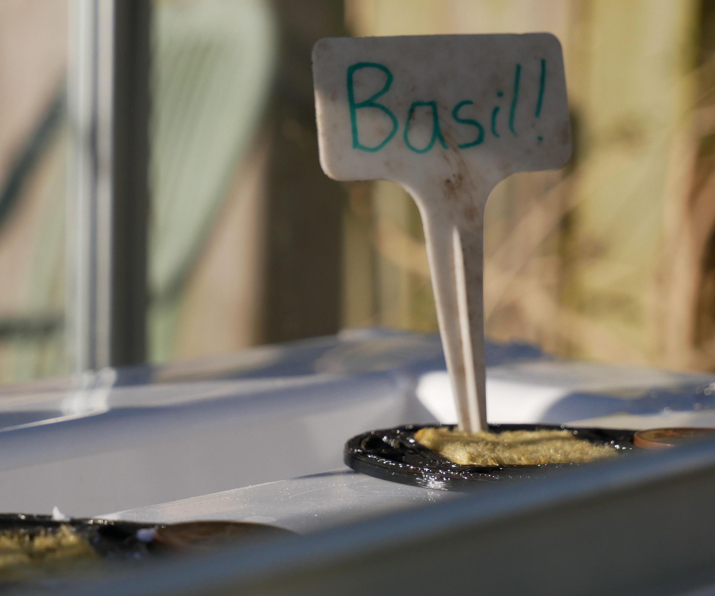 Autonomous Basil Farm With Robot Arm!