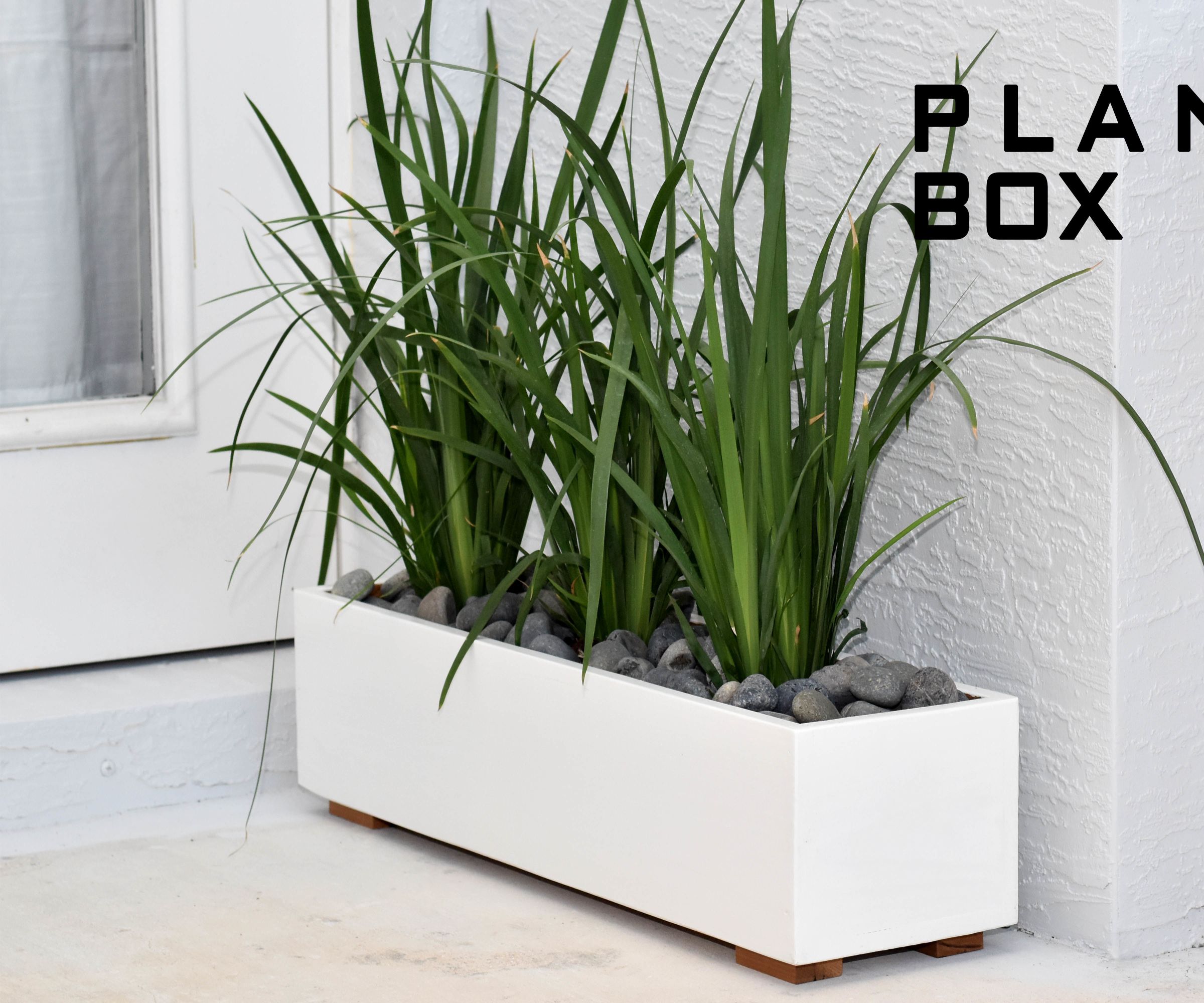 Modern Planter