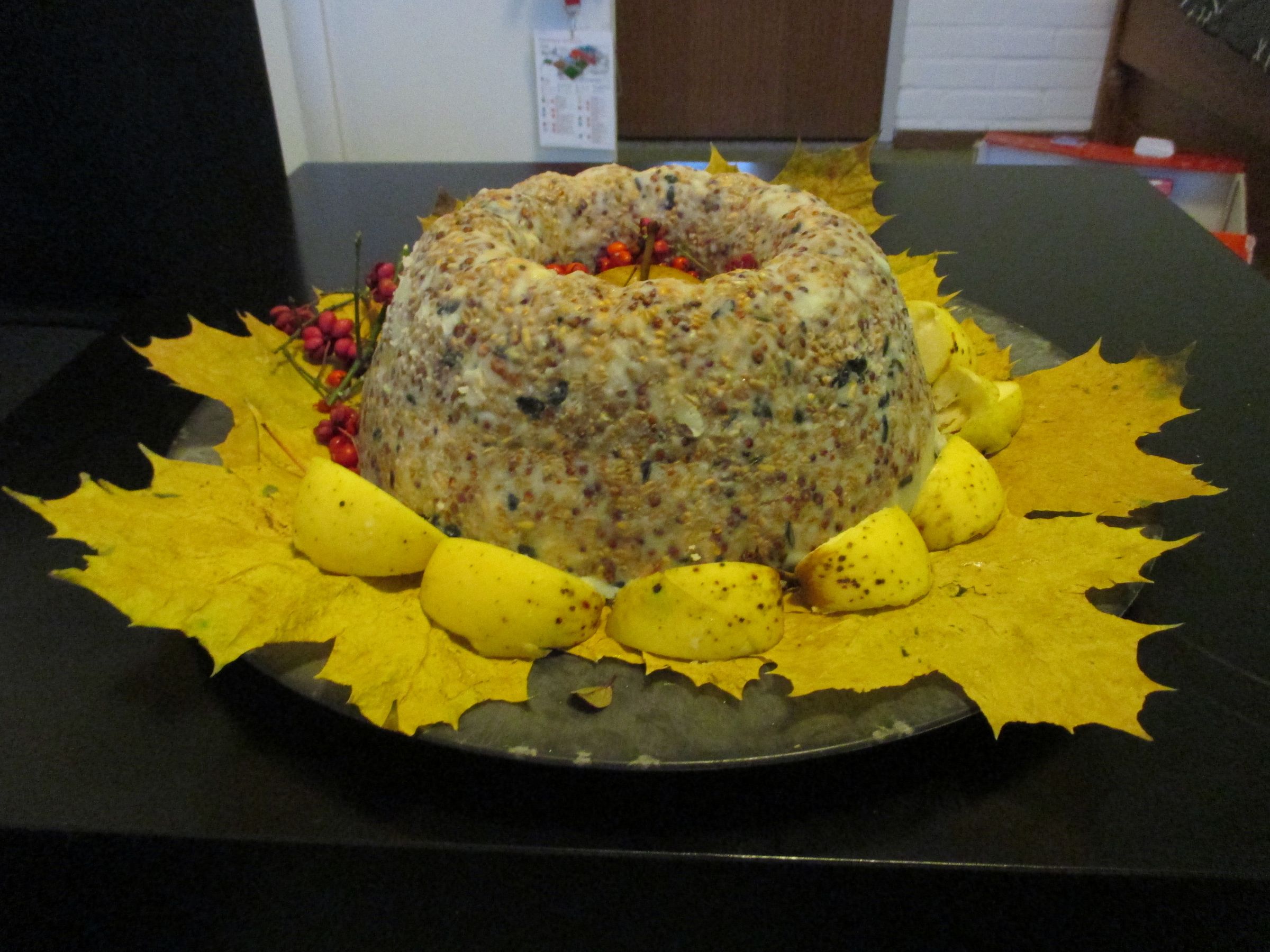 Bird Seed Cake 4 Steps (with Pictures) Instructables