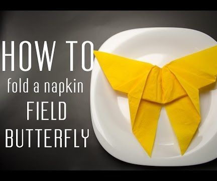 How to Fold a Napkin Into a Field Butterfly 