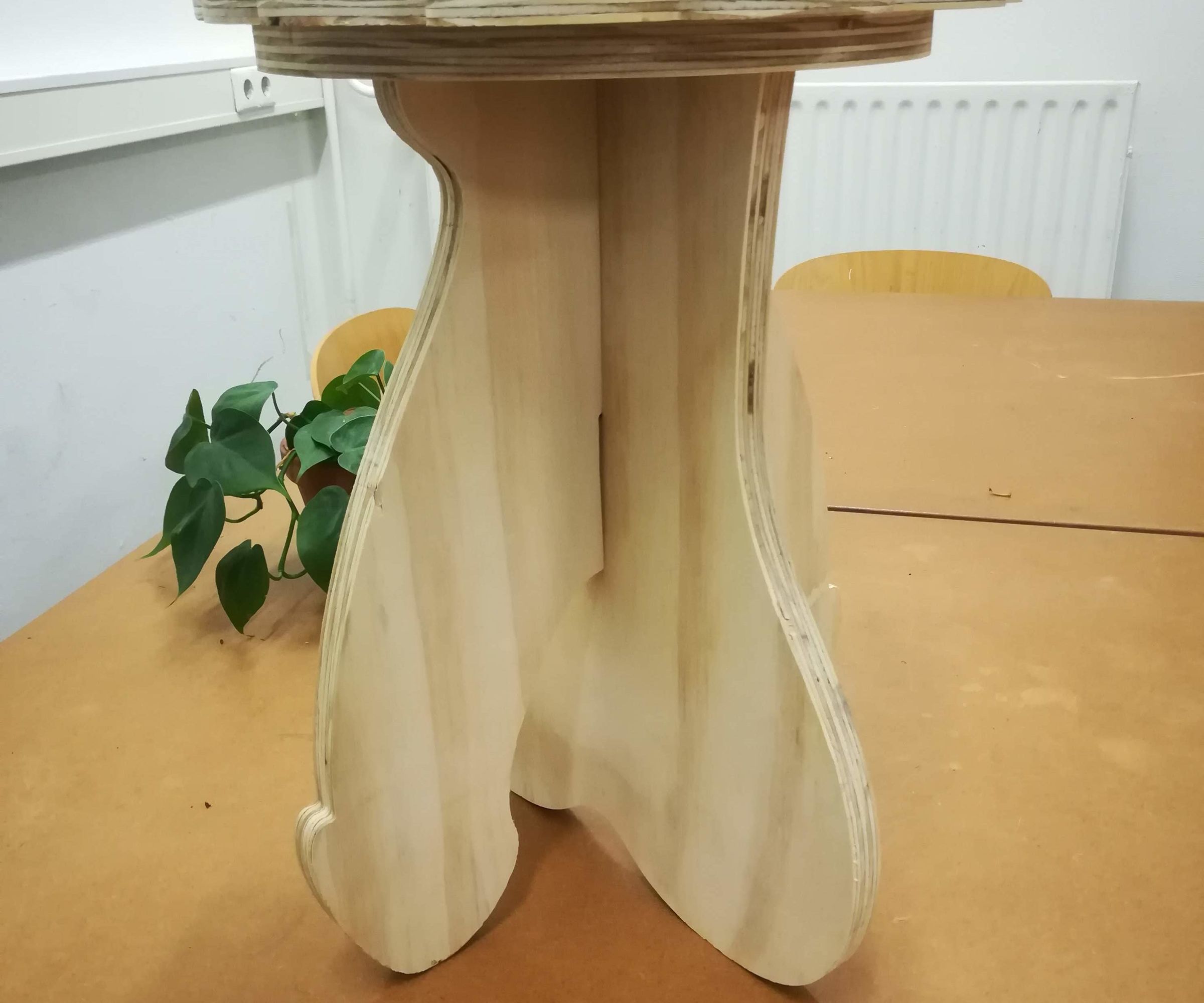 Penis Stool