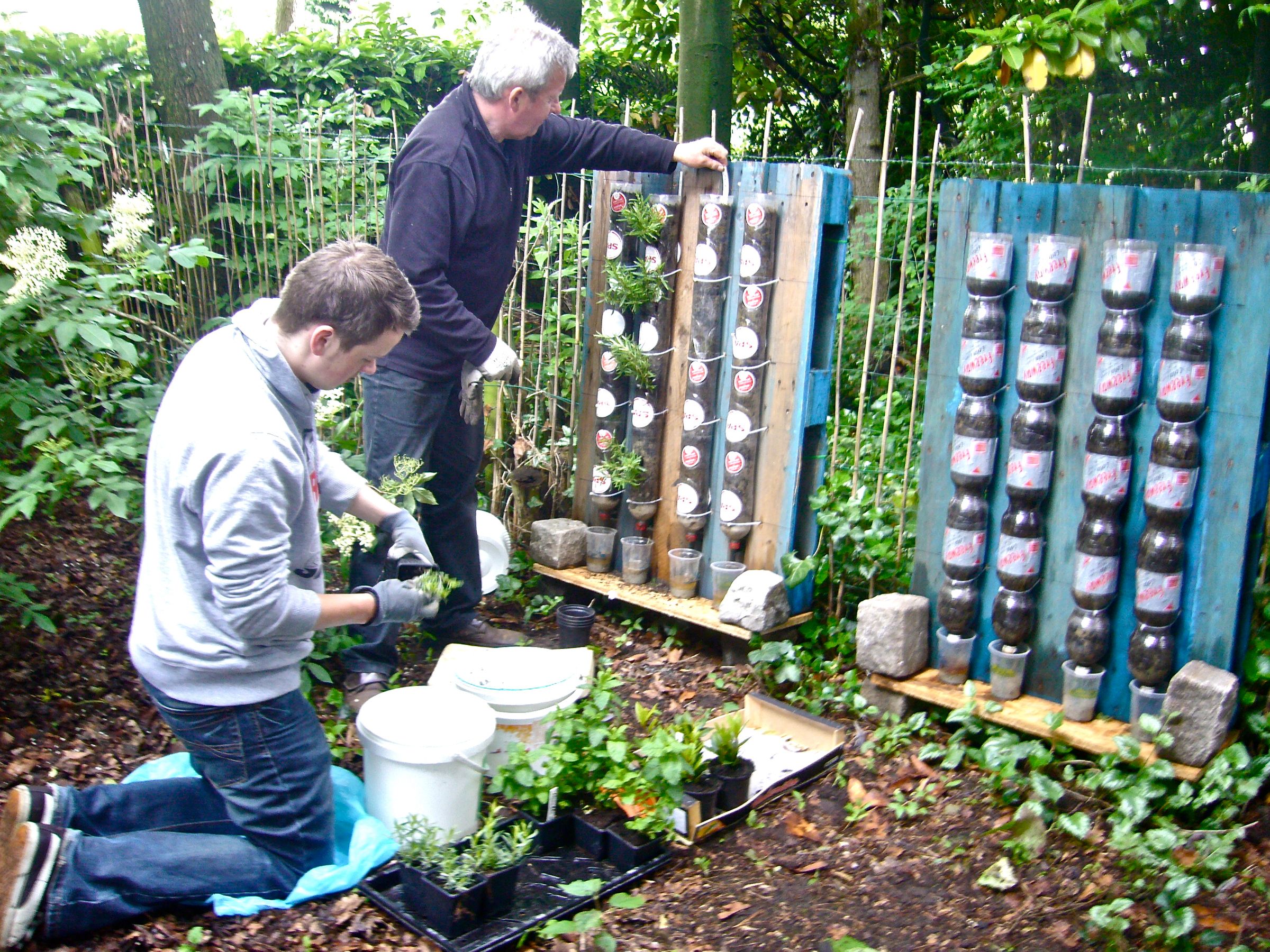 Food Production in Containers at Home