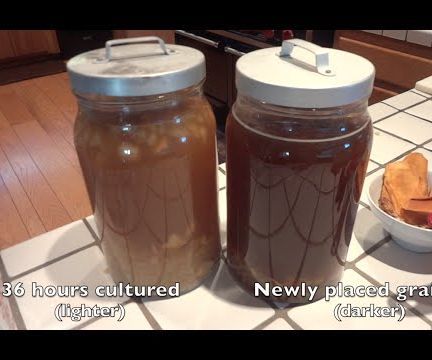How to Make Water Kefir and the Benefits of It