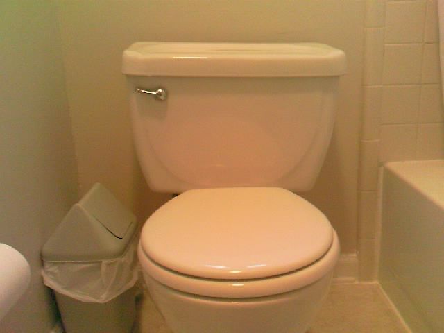 Conserving Water: 2 Stage Toilet Flush