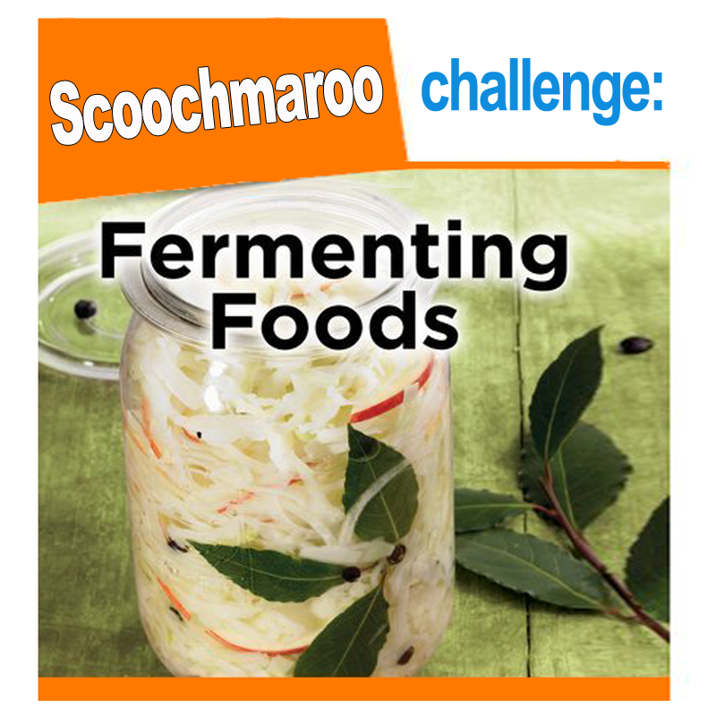 Scoochmaroo Challenge: Ferment