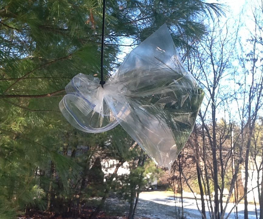 Plastic Bag Water Collection System