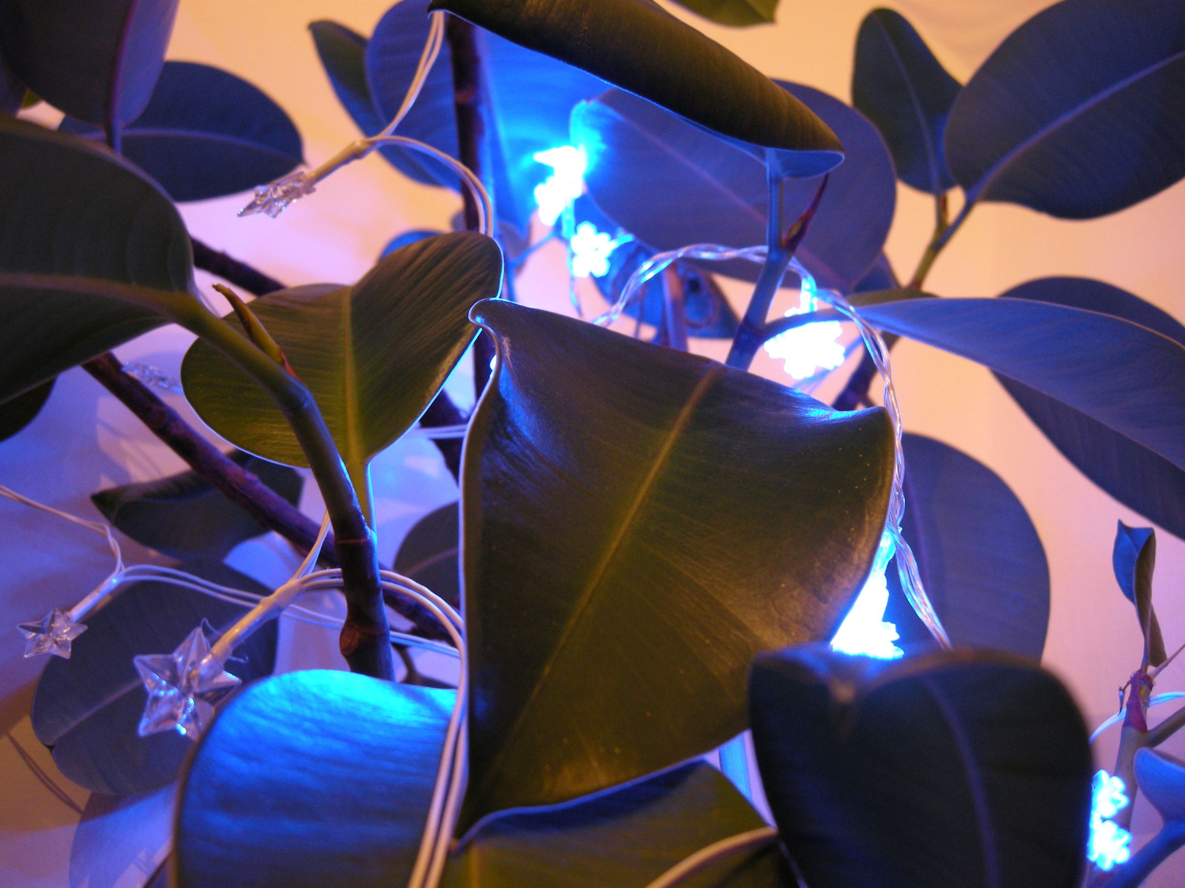Geiger counter triggered LED decorations