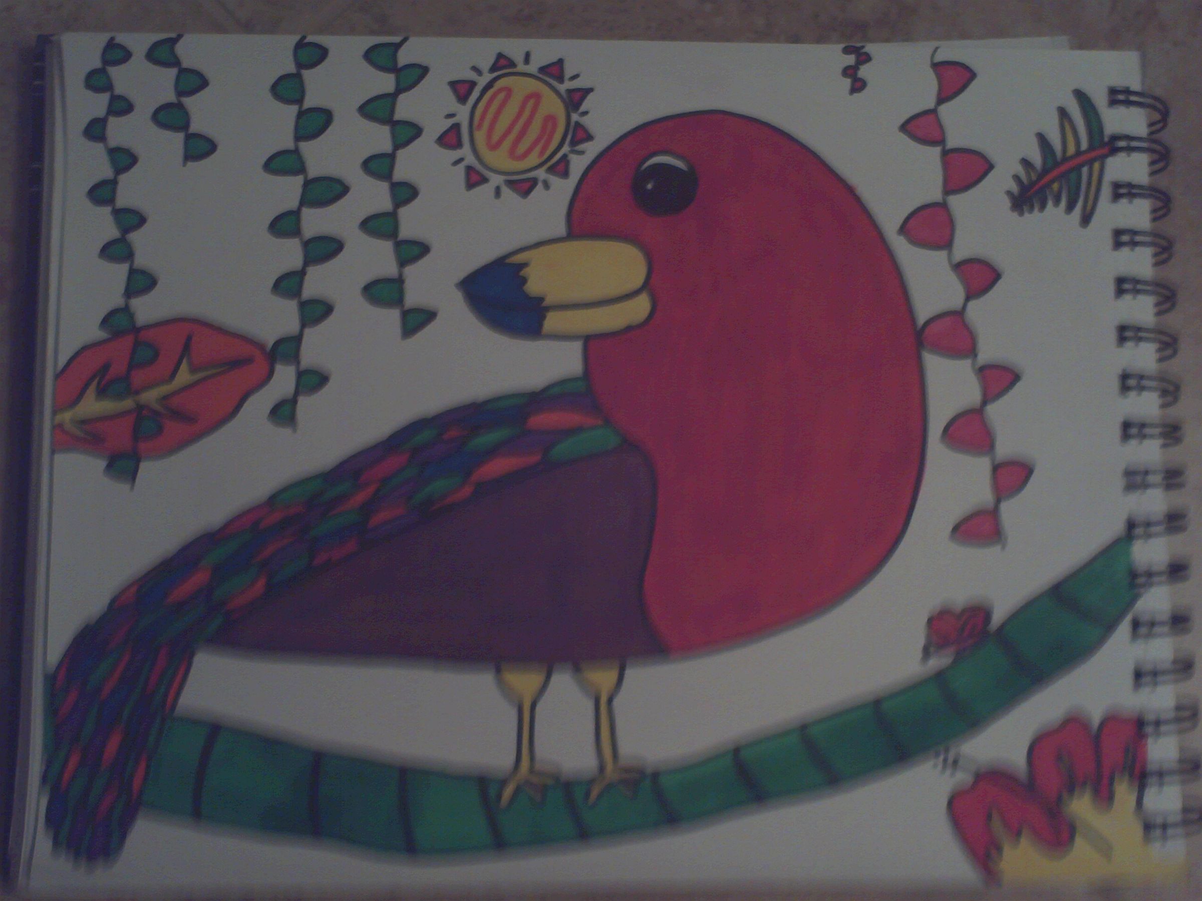 TOUCAN DRAWING