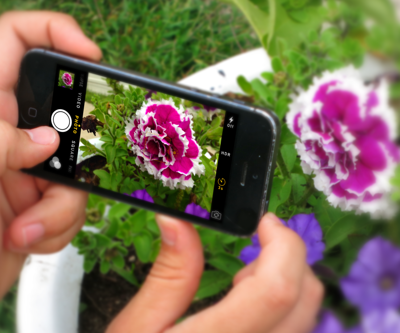 Smartphone Photography