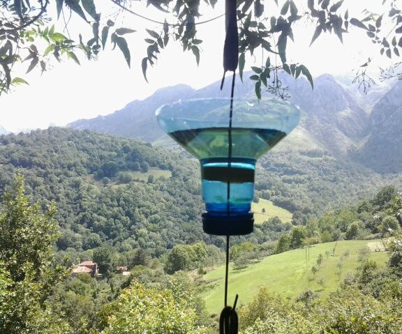 How to Keep Ants Away From Your Food