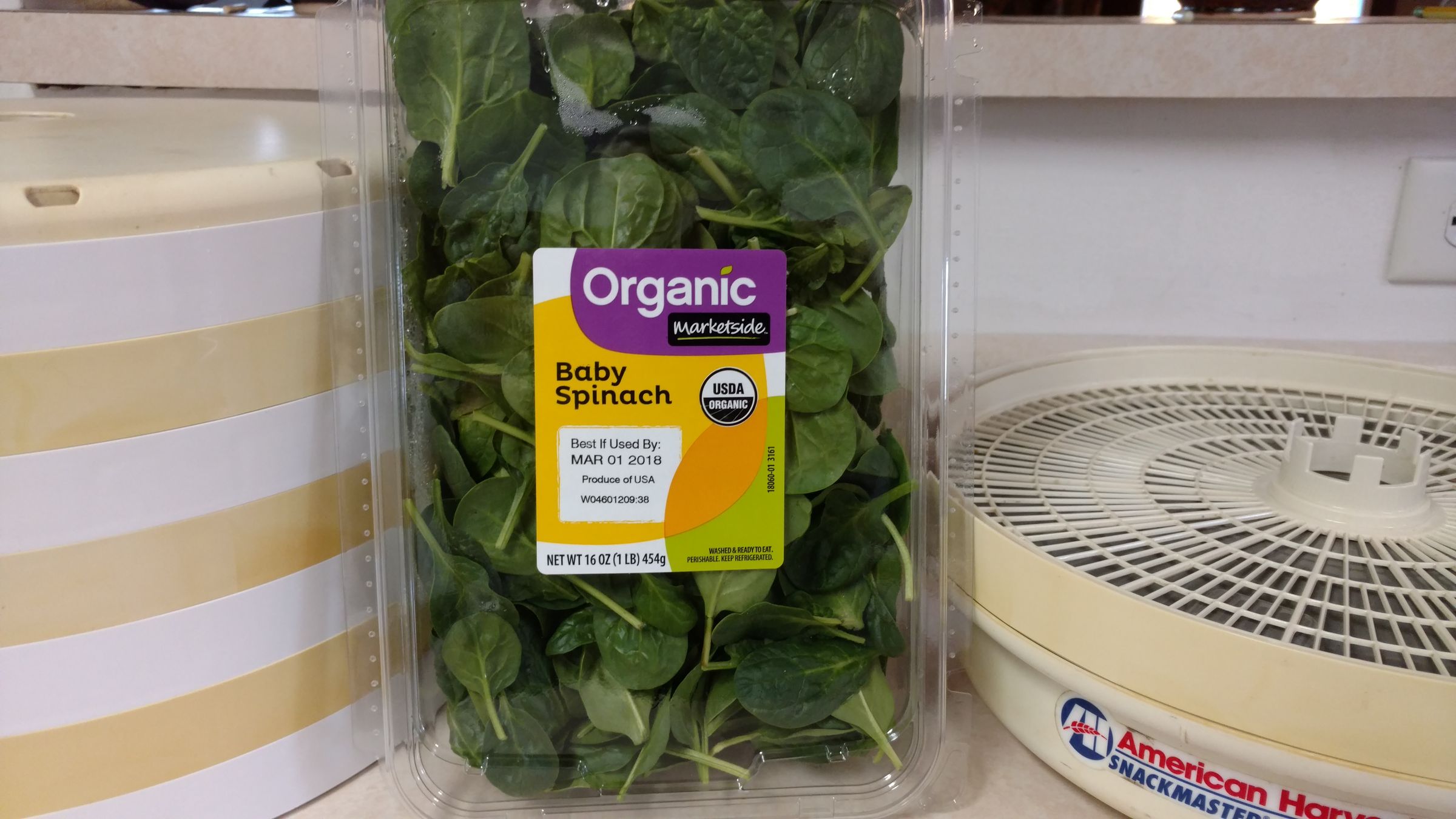 Dehydrating Organic Spinach Fast