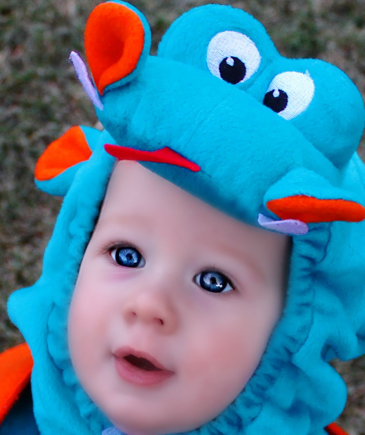 Blue Eyed Dragon