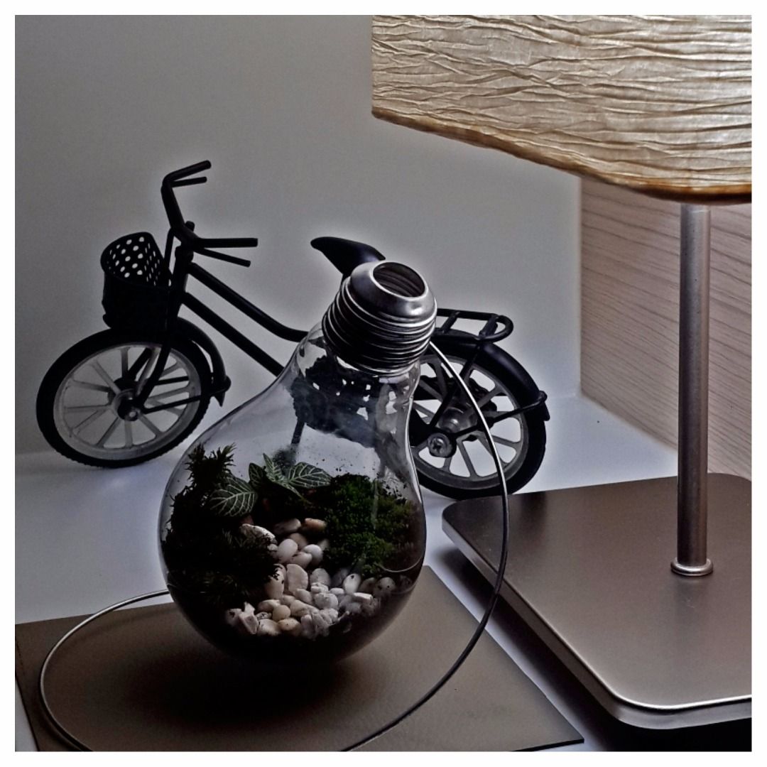 A Terrarium in a Light Bulb 4 Steps Instructables