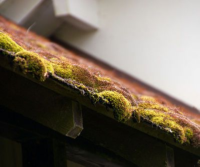 Tips for Cleaning and Maintaining Your Roof
