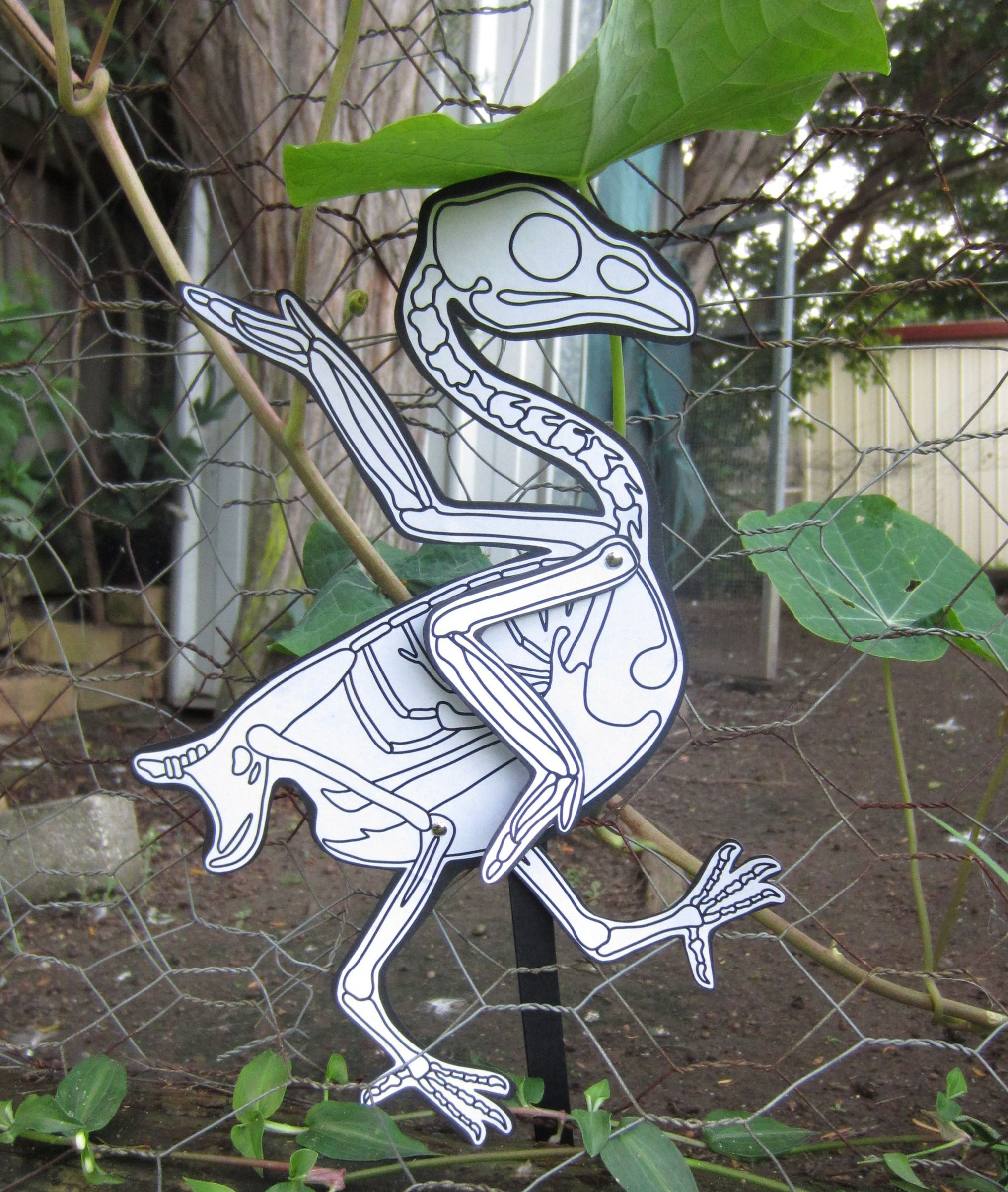 Chicken Skeleton Paper Puppet
