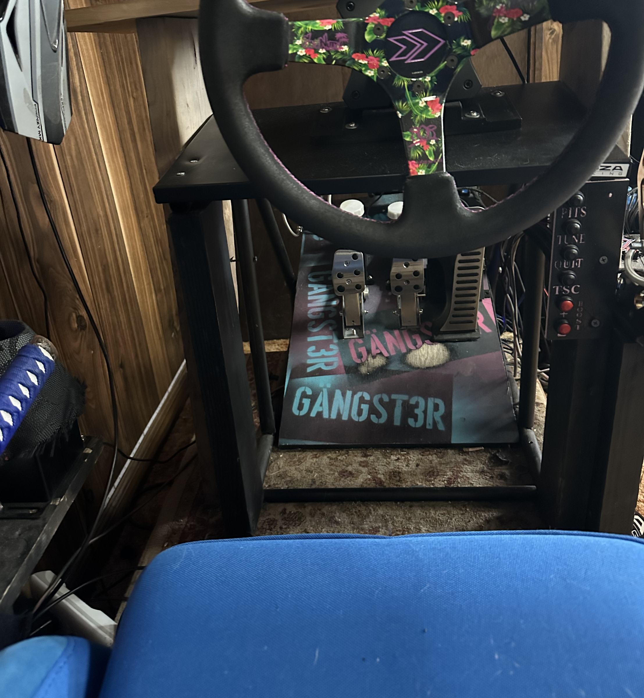 Oem Drive by Wire Sim Racing Throttle