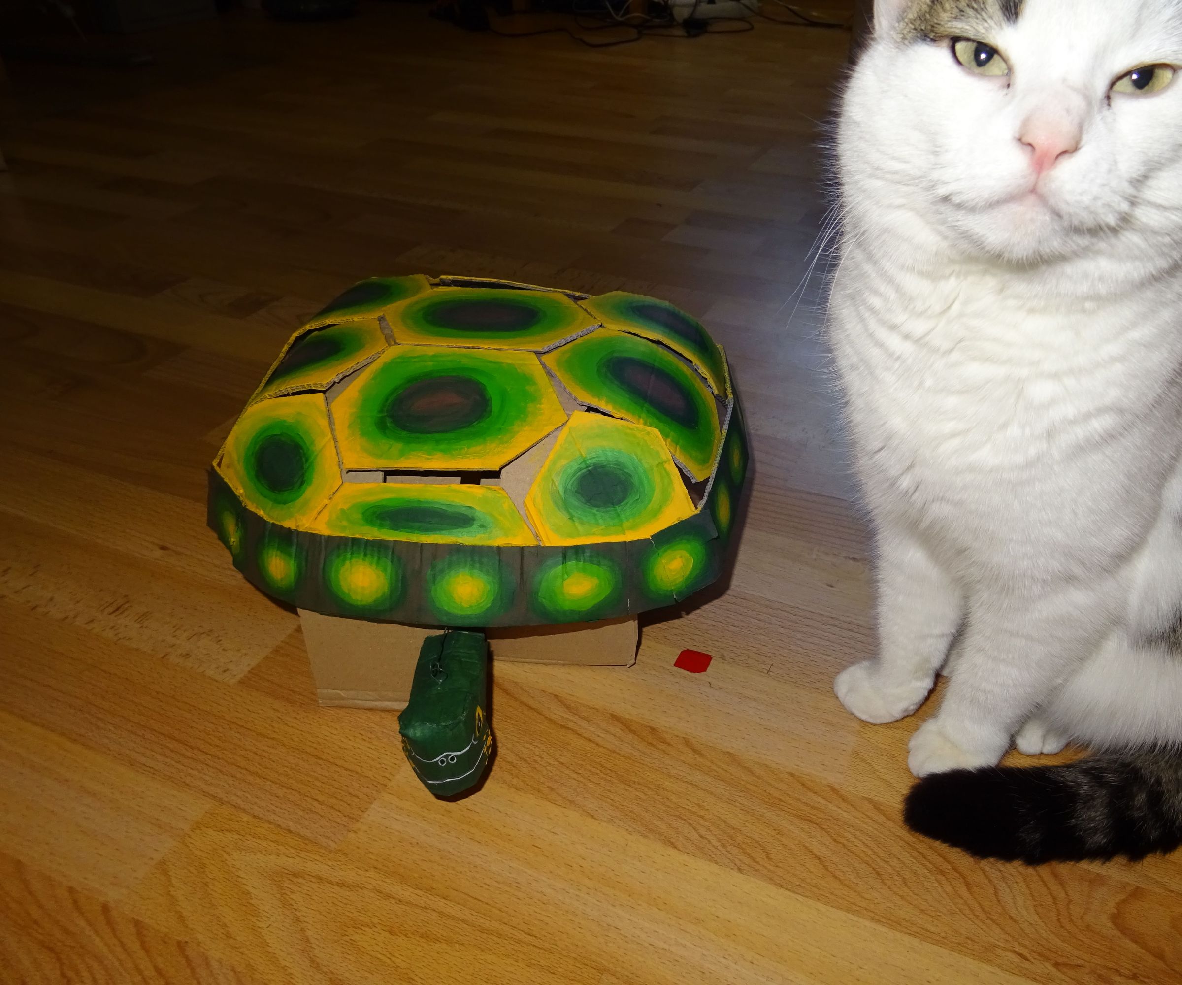 Cardboard Walker Tortoise