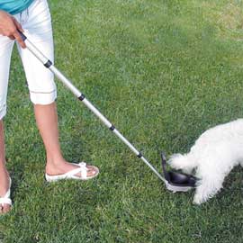 YOUR DOG ON a WALK: THE BASICS
