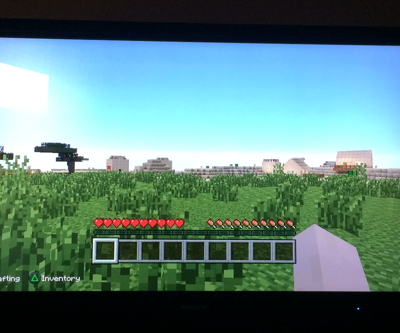 How to Survive the First Night in Minecraft (ps3) : 6 Steps