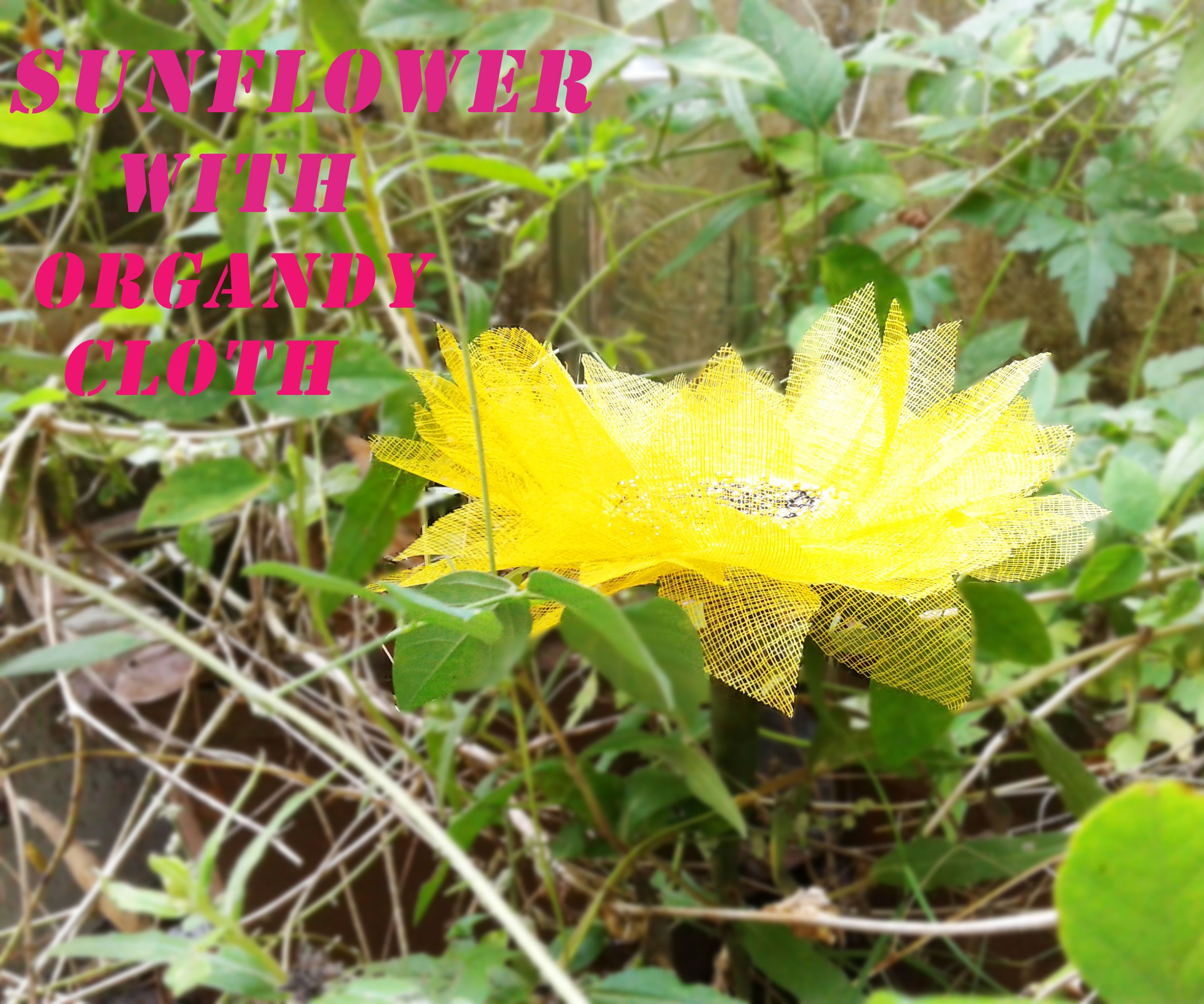 SUNFLOWER With Organdy Cloth