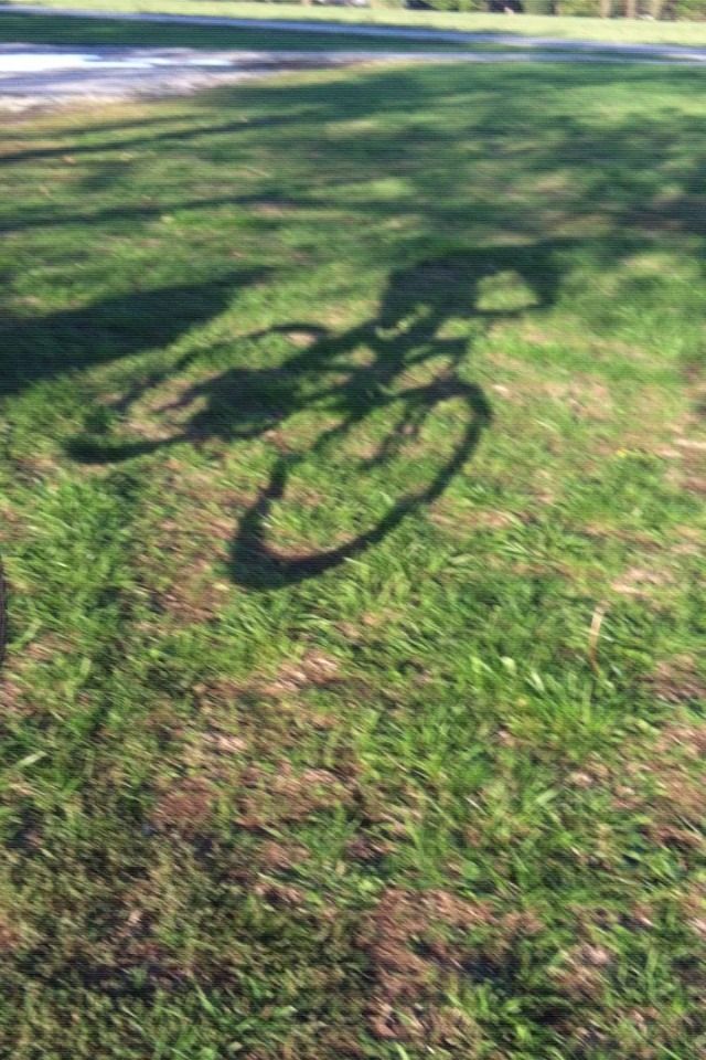 How to build a custom bike