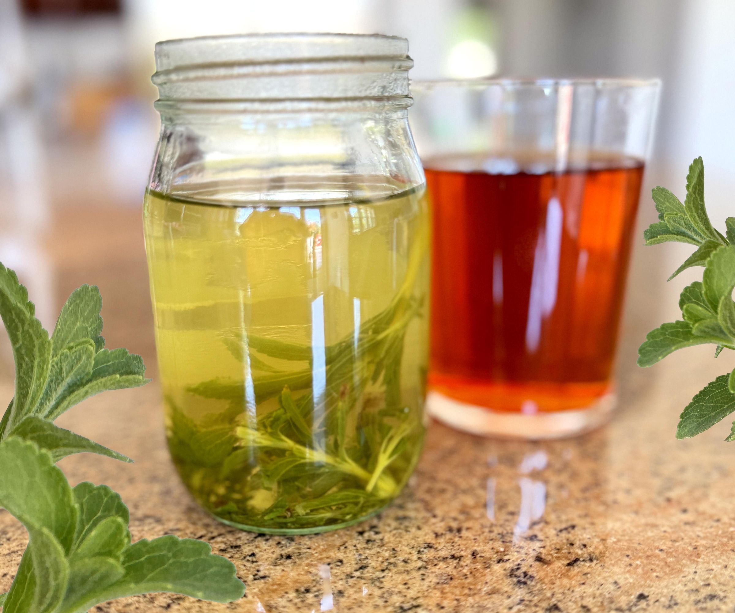 Amazing Sweet Leaf Herb - 100% Natural & Healthy Zero Calorie Sweetener