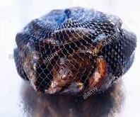 Steamed Mussels made easy