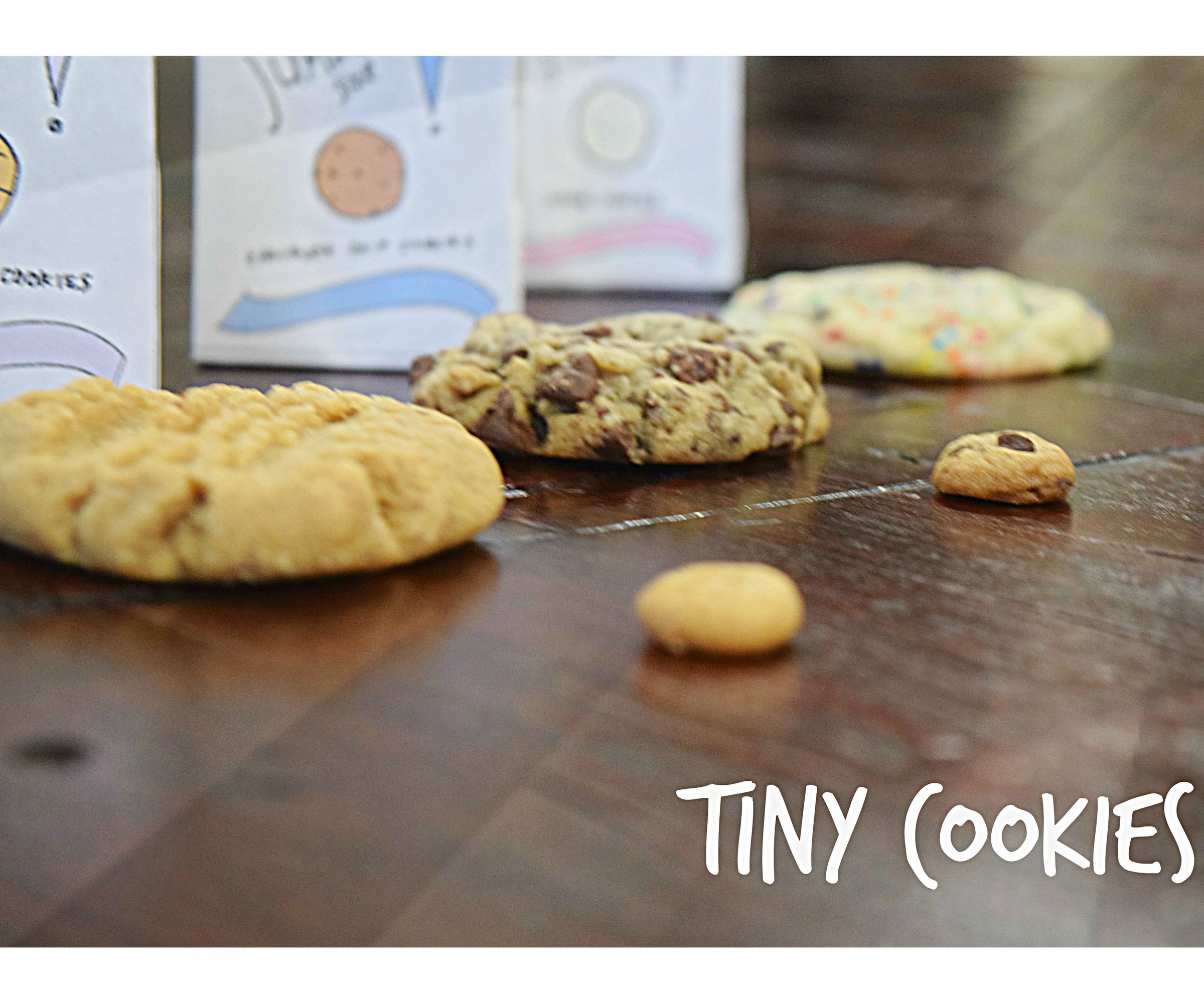 The Sweetest (and Cutest) Gift to Give: Tiny Cookies