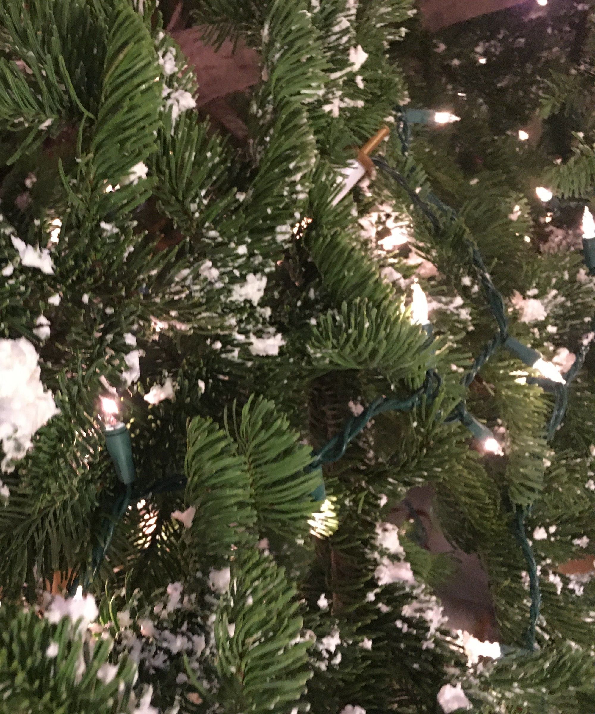 Snow Flocking Christmas Tree's