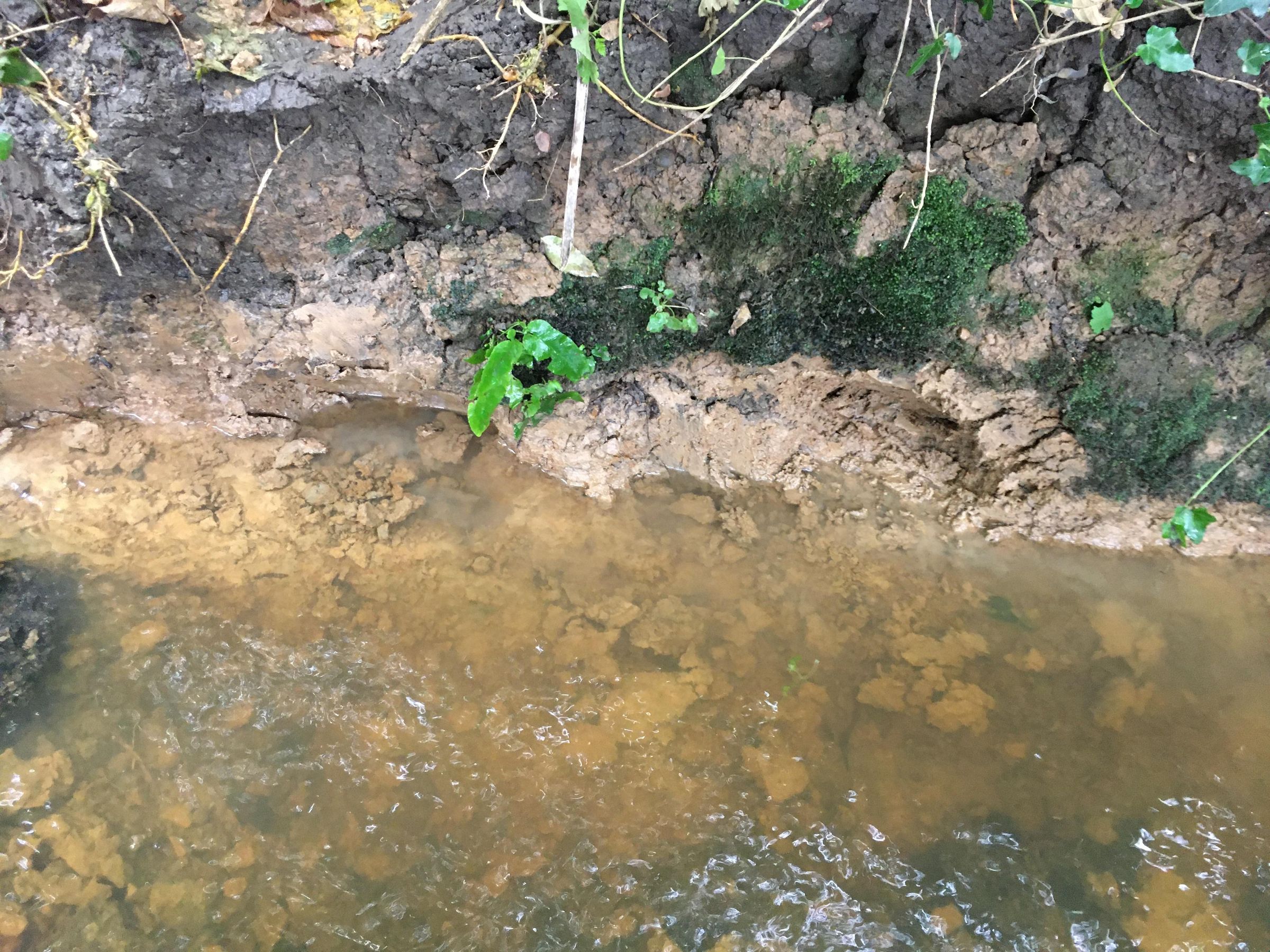 The River Clay Project - From Riverbed to Dining Table : 36 Steps (with ...