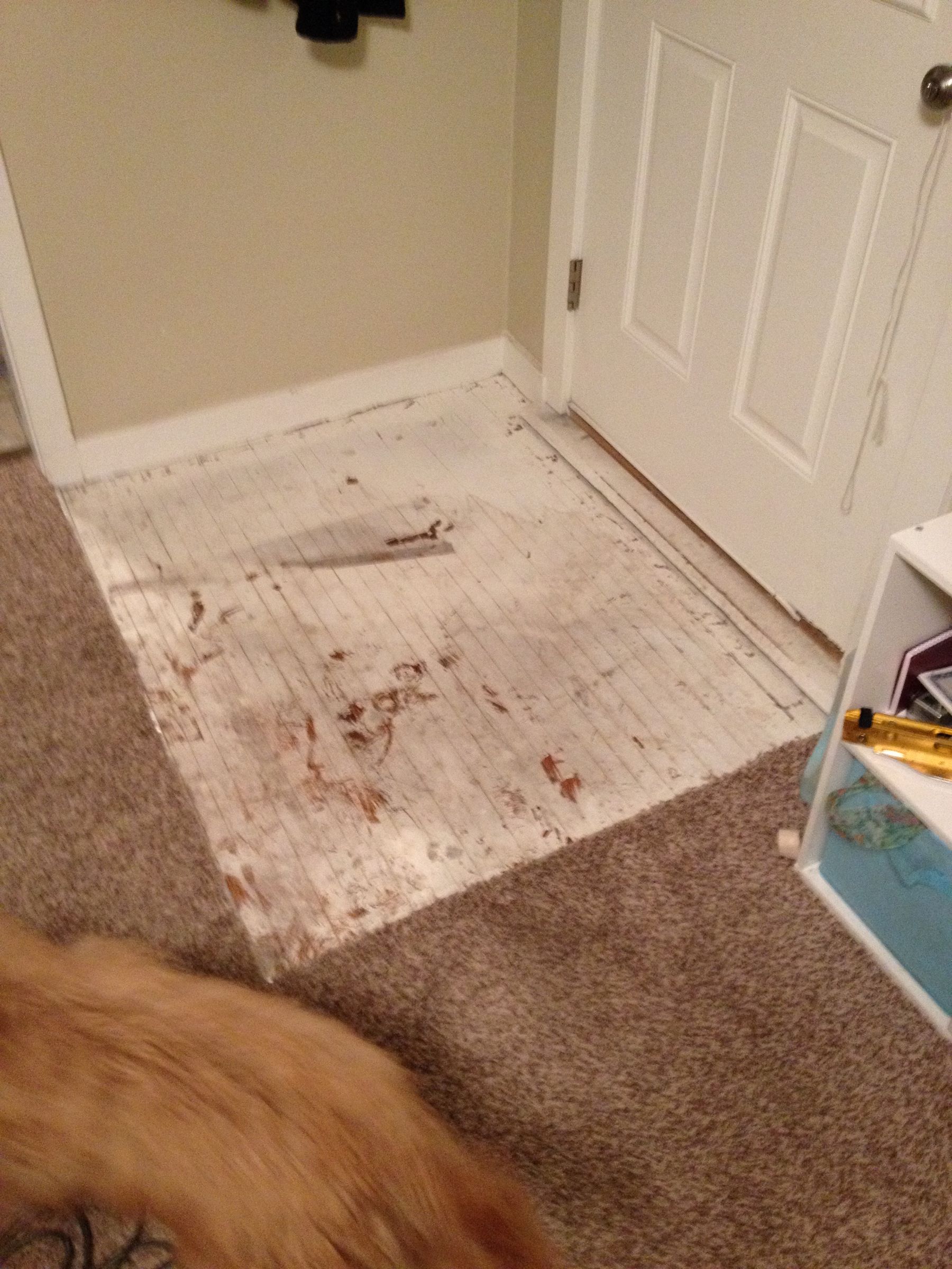 How to Refinish Your Hardwood Floor (under Carpet) 5 Steps